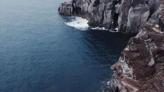 日本東京+伊豆+熱海海濱公園一日遊/行程可調-可定制多日