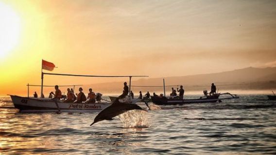 Bali: Rottweiler-Delfinjagd + 90-minütige Quad-Tagestour