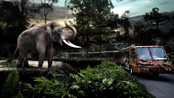 Singapur: Entrada para safari nocturno, paseo en tranvía y traslado de ida y vuelta