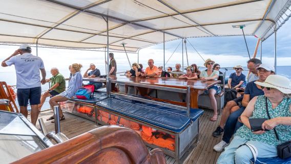 Da Funchal: Escursione in barca di legno all'isola Desertas