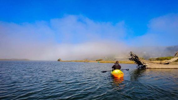 Russian River: Kayak Tour