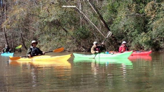 Houston: Luce Bayou Kayaking Tour