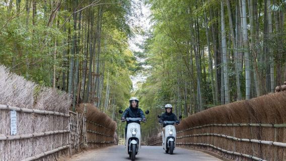 Захватывающая поездка в Киото! Бамбуковые тропы, сбор урожая и местная кухня