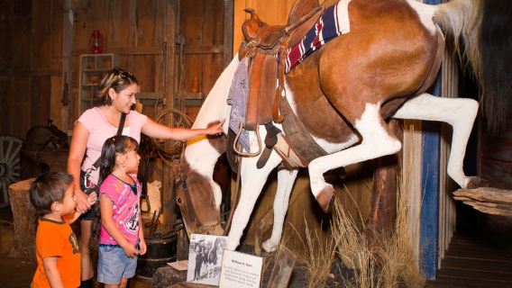 San Antonio: Go City Explorer Pass with 25+ Attractions