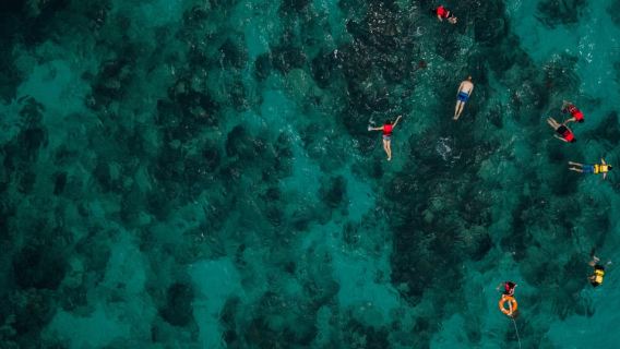 Bali/Nusa Dua: Snorkeling, Naik Perahu Kaca & Pusat Penyu