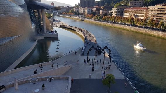 Bilbao: Museo Guggenheim Bilbao Entrada incluida en español