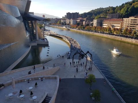 Bilbao: Museo Guggenheim Bilbao (entrada incluida)