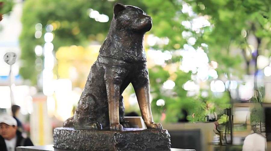 日本東京羽田機場接送/送機服務+銀座+秋葉原+澀谷一日遊