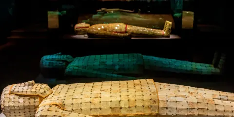 徐州博物館 猩咖說|私人團|門票+文史大咖講解2/2.5H