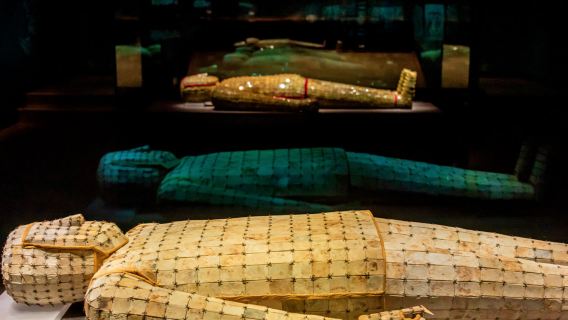 徐州博物館  猩咖說|私人團|門票＋文史大咖講解2/2.5H