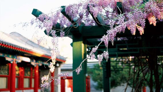 Prince Kung's Palace Museum 1-day Tour|10-person group option available|Includes admission ticket to Prince Kung's Palace Museum and detailed guided tour|Premium family-friendly tours