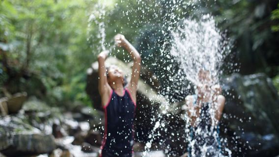 Đoàn nhỏ riêng đi bộ xuyên rừng mưa Kinuoshan [Tặng giày đi mưa + bảo hiểm + nghiên cứu khoa học + tuyến đường gia đình]
