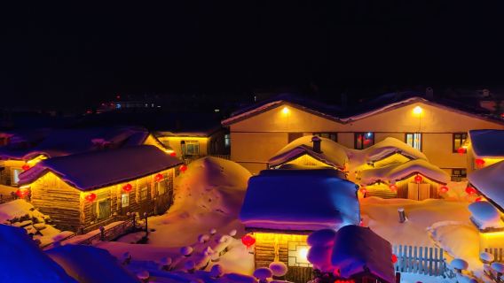 Private Tagestour durch die Schneestadt, China ab Harbin (Hin- und Rückfahrt mit dem Hochgeschwindigkeitszug)