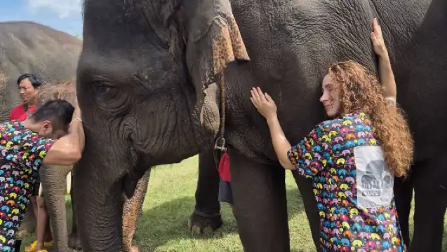 泰國清邁府清邁康達大象保護區半日遊【歡樂半日遊】