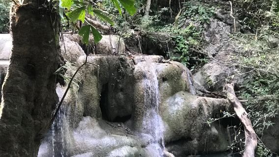 清邁大象營+飛躍叢林+射擊體驗+粘粘瀑布一日遊（中文司機）