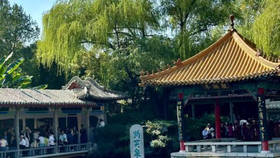 邯鄲出發濟南趵突泉+大明湖+芙蓉街+黑虎泉跟團一日遊