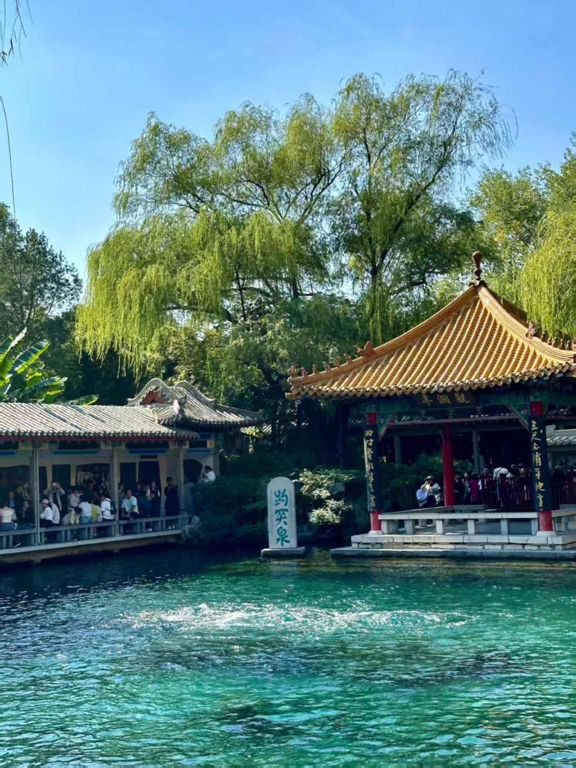 邯鄲出發濟南趵突泉+大明湖景區+芙蓉街+黑虎泉跟團一日遊