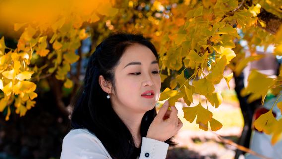 騰衝銀杏村旅拍【騰衝銀杏村＋包車＋旅拍＋咖啡下午茶】