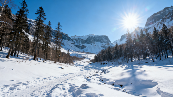 延吉發車/北/西景區/包車/共乘一日遊《24小時雙向發車》