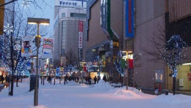 日本北海道+旭川動物園+青池一日遊/行程可調-可定制多日