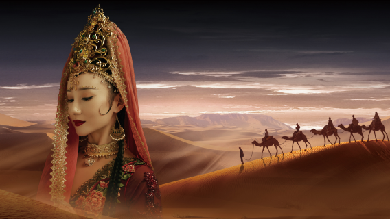 การแสดงโรแมนติกแห่งซีอาน: ตั๋วการแสดง + บริการรถรับส่งส่วนตัว