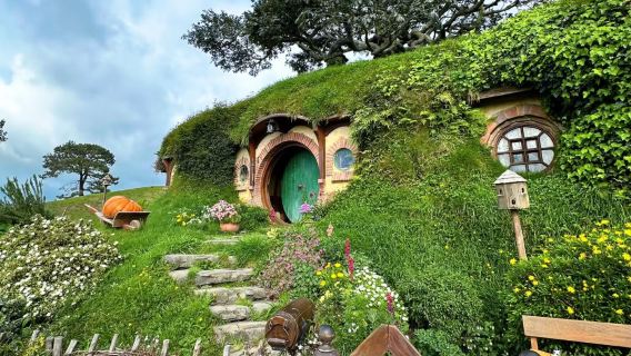 紐西蘭漢密爾頓哈比人村-懷託摩螢火蟲洞-漢密爾頓花園一日遊