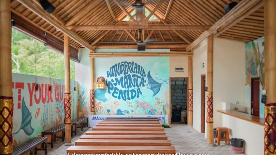 Nusa Penida: Snorkeling 3 Spots with GoPro & West Land Tour