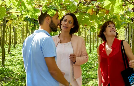 聖塞瓦斯蒂安出發：Txakolí酒窖及格塔里亞導賞團