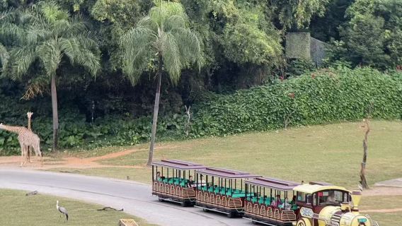 廣州長隆2日1夜/3日2夜熊貓/香江/長隆動物世界+歡樂世界+飛鳥樂園可選大馬戲/晚餐含園內接駁車親子套餐