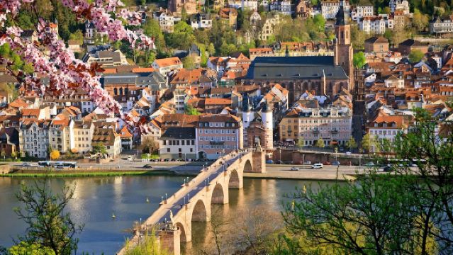 1-day tour from Heidelberg to Darmstadt in Germany with Chinese-speaking driver for door-to-door pickup/10-hr private charter