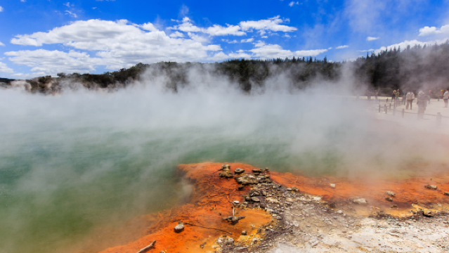 地熱公園奇觀+紅木森林漫步+藍泉觀景~奧克蘭來回包車一日遊