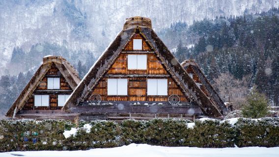 Da Nagoya: esplora il villaggio in stile Gassho di Shirakawa-go e vivi il mondo alpino con un piccolo gruppo di 9 persone