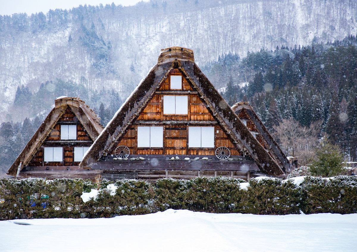 [Depart from Nagoya] Explore the Gassho Village of Shirakawa-go · Alpine Tour · Optional 9-person Small Group