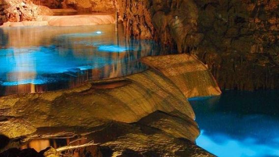 DMMK Aquarium Japan||Okinawa World|American Village Family Day Tour