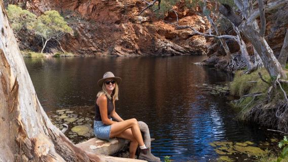 Alice Springs: West MacDonnell Ranges & Standley Chasm Tour