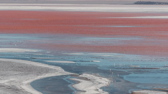 玻利維亞境內/中文導遊/地陪導遊/展會翻譯/商務翻譯/溝通無障礙