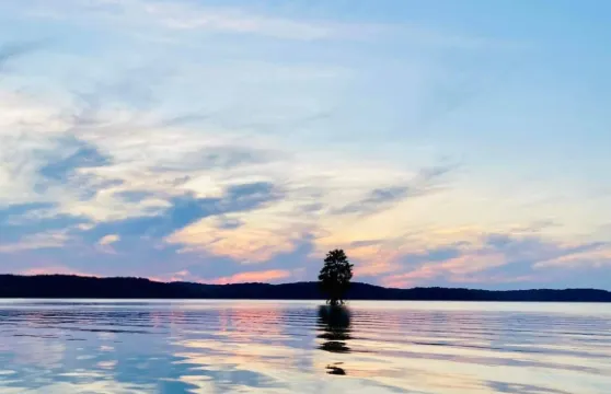 美國三藩市-聖克魯斯-七彩小鎮-可定制【中文專車-悅享旅程】