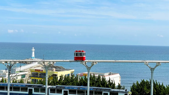 Lawatan Sewa Peribadi Tersuai Bahasa Cina Busan: Taejongdae + Kuil Haedong Yonggungsa + Taman Blue Line Haeundae