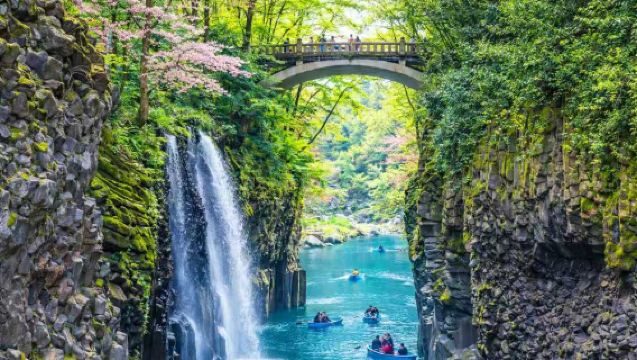 Lawatan Sehari Pelayaran Menikmati Bunga Sakura Kyushu dengan Keretapi Takachiho, Ngarai Takachiho & Gunung Berapi Aso | Pergi-Balik dari Kumamoto