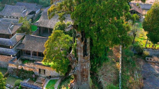 村遊·山裡的古村落·江南古寺·麗水雲中大漈·時思寺包車1日