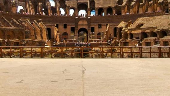 Coliseo de Roma, Arena, Foro Romano y Monte Palatino: Tour guiado en grupo reducido
