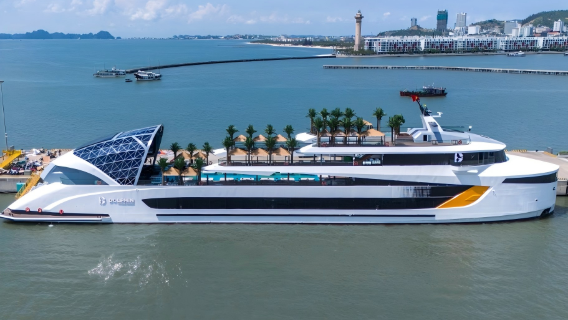 Tour 1 ngày Vịnh Hạ Long Việt Nam: Du thuyền 6 sao sang trọng [Dolphin Cruise] bao gồm Hòn Ti Tốp + Hang Sửng Sốt