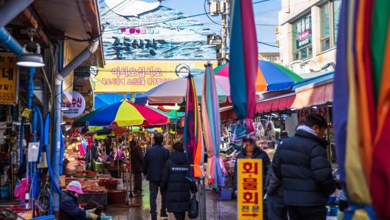 Busan: 5 Highlights of Pohang One Day Small Group Tour