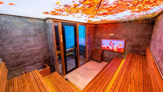 Дневной спа-абонемент в Pulse Therme Banya