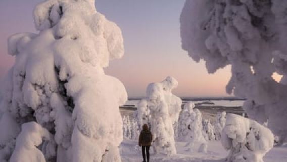 Rovaniemi: Riisitunturi Snow Monsters Tour & Campfire BBQ