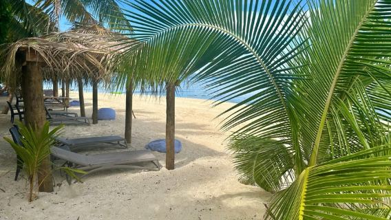 Fiji: Captain Cook Cruises - All-incl Island & Reef Day Trip