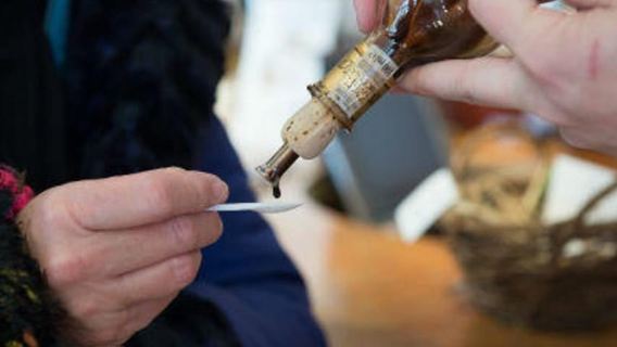 Bar Harbor, Maine: Culinary Walking Tour with Tastings