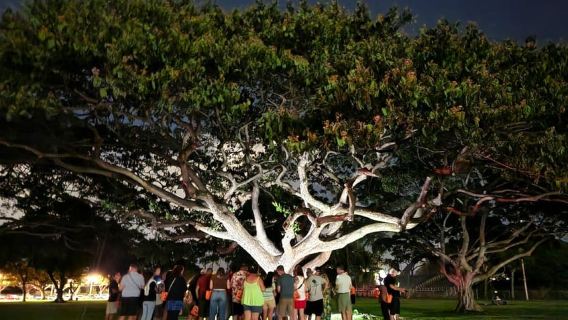 Waikiki: Waikiki Night Marchers Ghostly Walking Tour