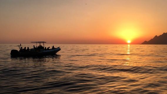 Gulf of Porto: Visit the Calanches de Piana and/or Scandola Nature Reserve