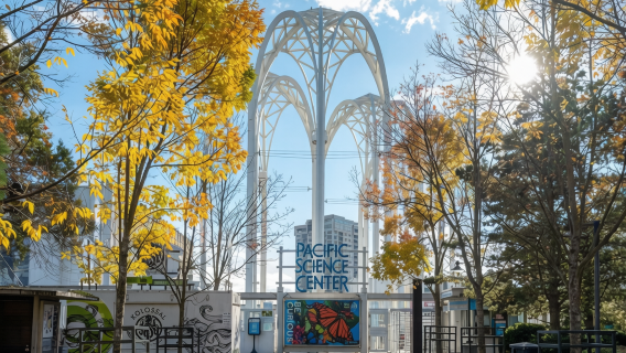 2-hour family-friendly tour (includes admission ticket) at the Pacific Science Center in Seattle | Immersive science exploration